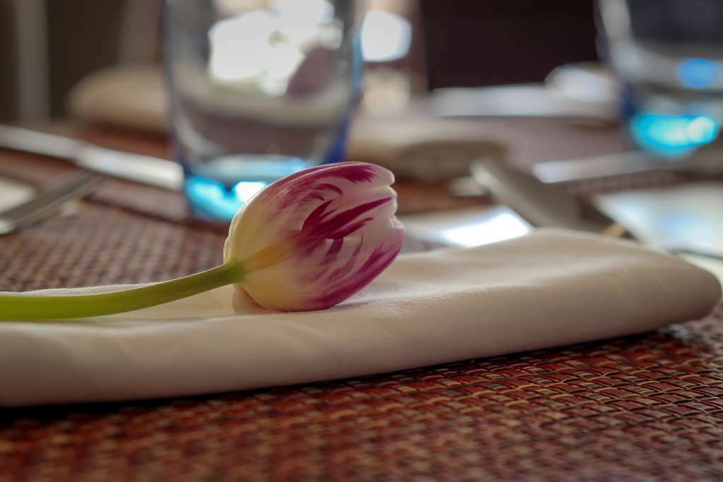 Hotel Le Vendome Cape Town